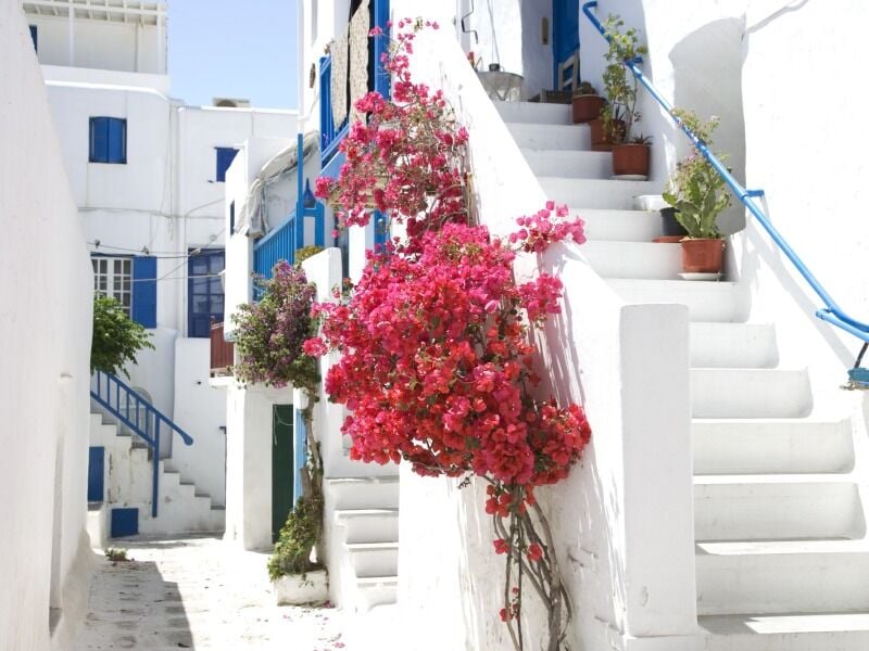 Circuit Mykonos et Santorin 4* - photo 1