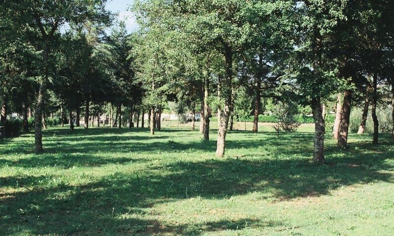 Camping Village La Chiocciola 3* - photo 1