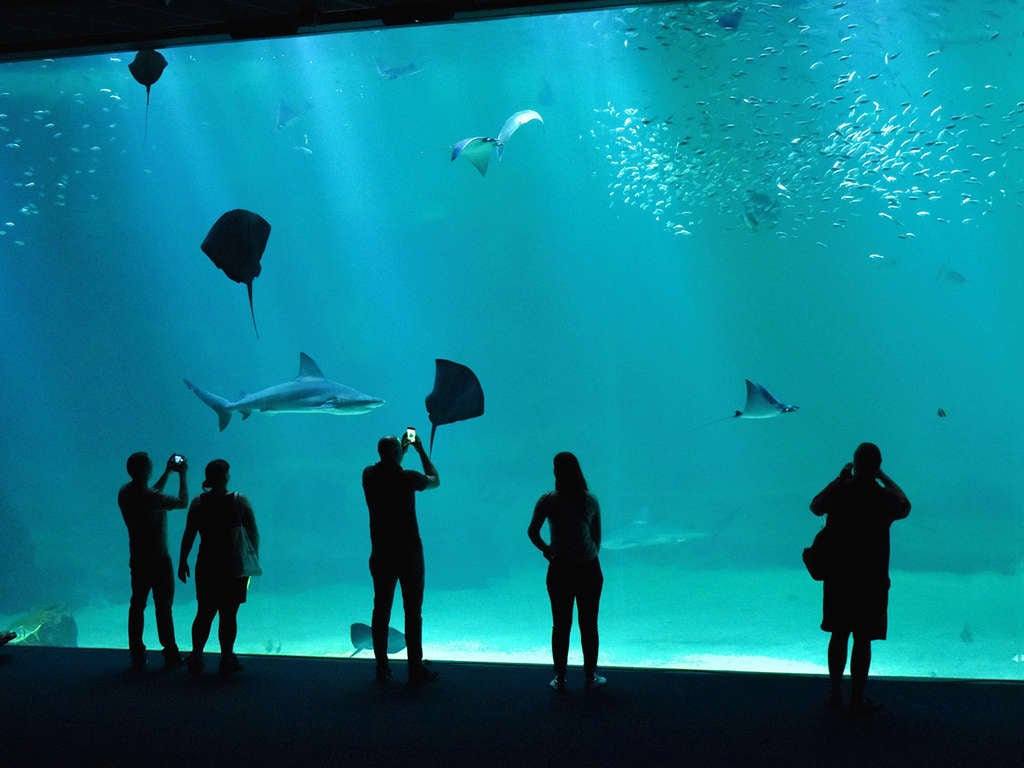 Week-end détente et découverte avec entrée à l'Aquarium Nausicaa - 3* - photo 1