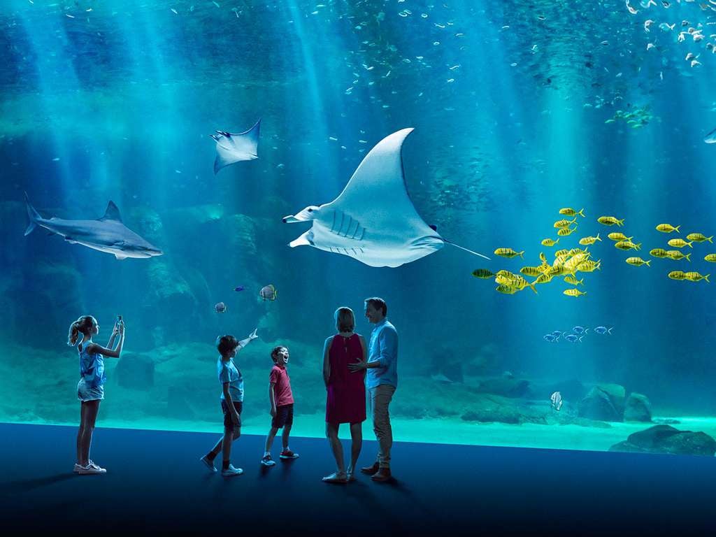 Séjour proche de la plage avec entrée à l'Aquarium Nausicaa - 3* - photo 1