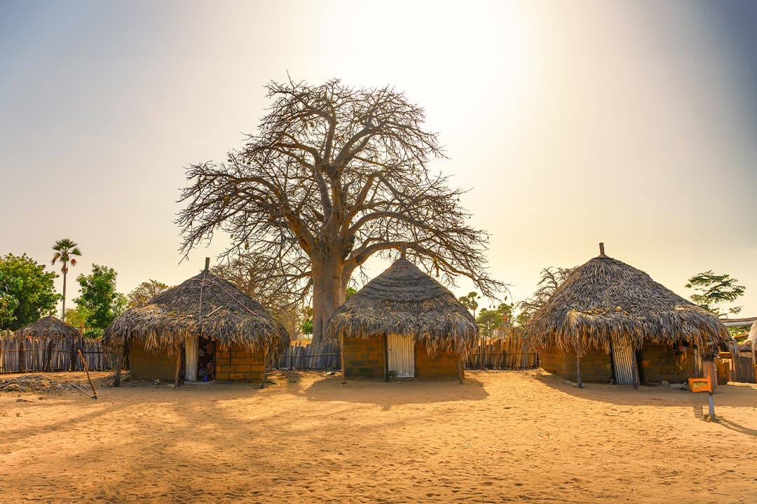 20260901 Senegal 1080x720